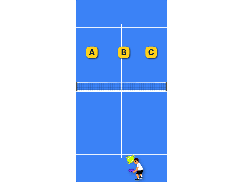Net’s height
