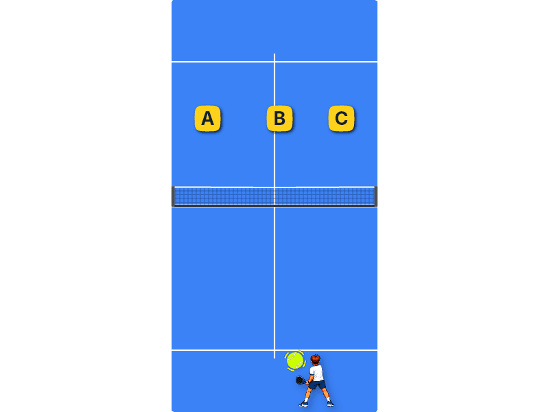 Net’s height